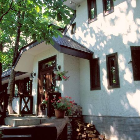 Отель Earl Grey Хакуба-Мура Экстерьер фото
